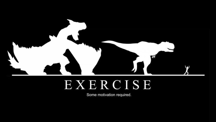 Monster Hunter Exercise