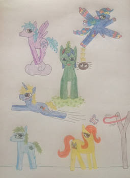 The next generation of mlp fim