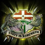 US Army 'Alligator' design