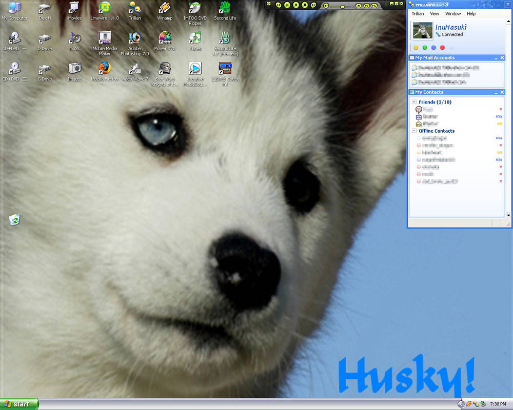 husky desktop by tc3caffine on DeviantArt