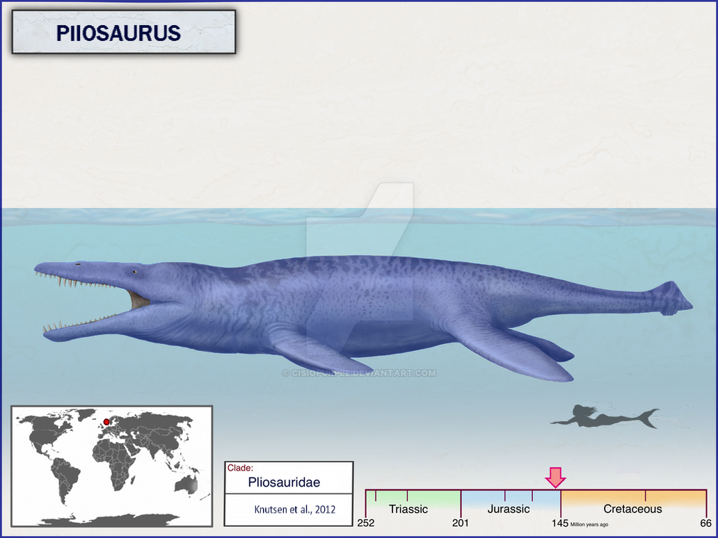 Pliosaurus Types Pliosaurus by TamerMansour on DeviantArt