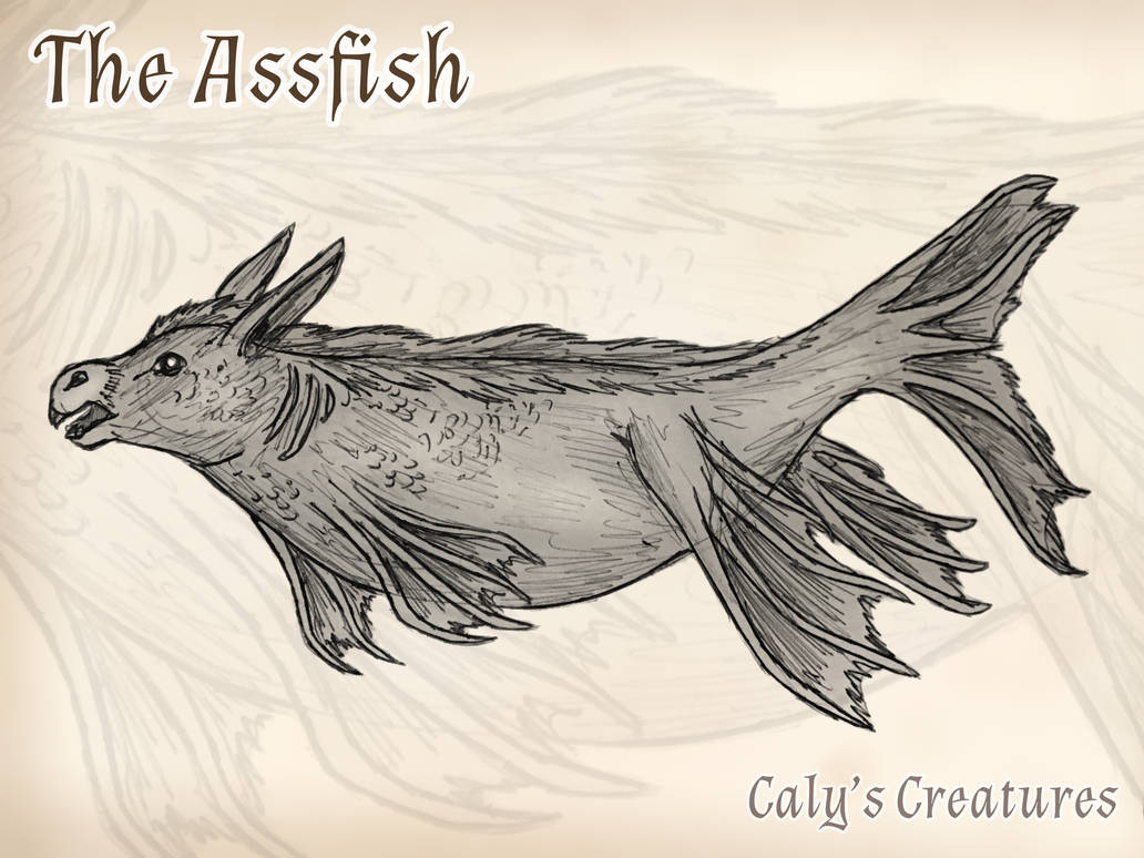 Anoymouse Fish The Assfish (donkey-fish) by CalysCreatures on DeviantArt
