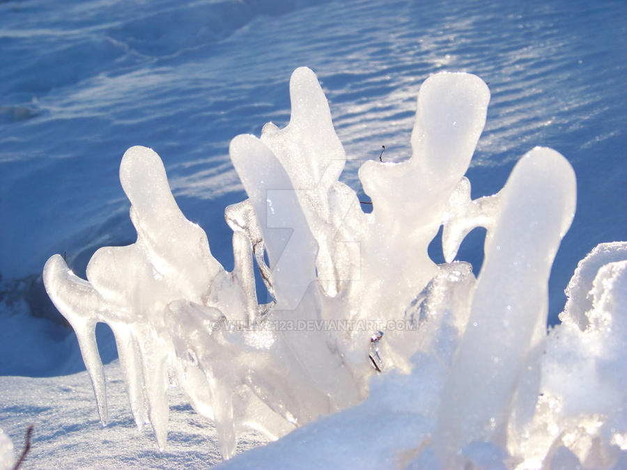Bumpy Ice Bush Ice by willyc123 on DeviantArt