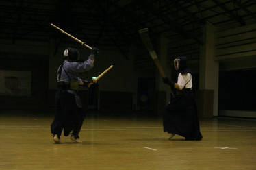 Kendo Shinai Kodachi and Naginata
