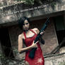 Resident Evil: ADA WONG (Movie Poster Version)