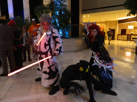 AWA 2013- Xemnas and Axel