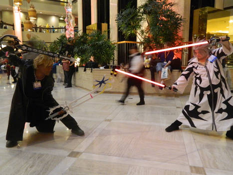 Awa 2013- Roxas vs Xemnas