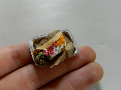 Miniature Taco