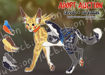 ADOPT serval x cockatiel - AUCTION (OPEN)