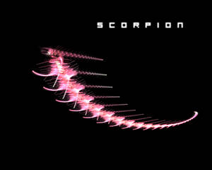 Scorpion