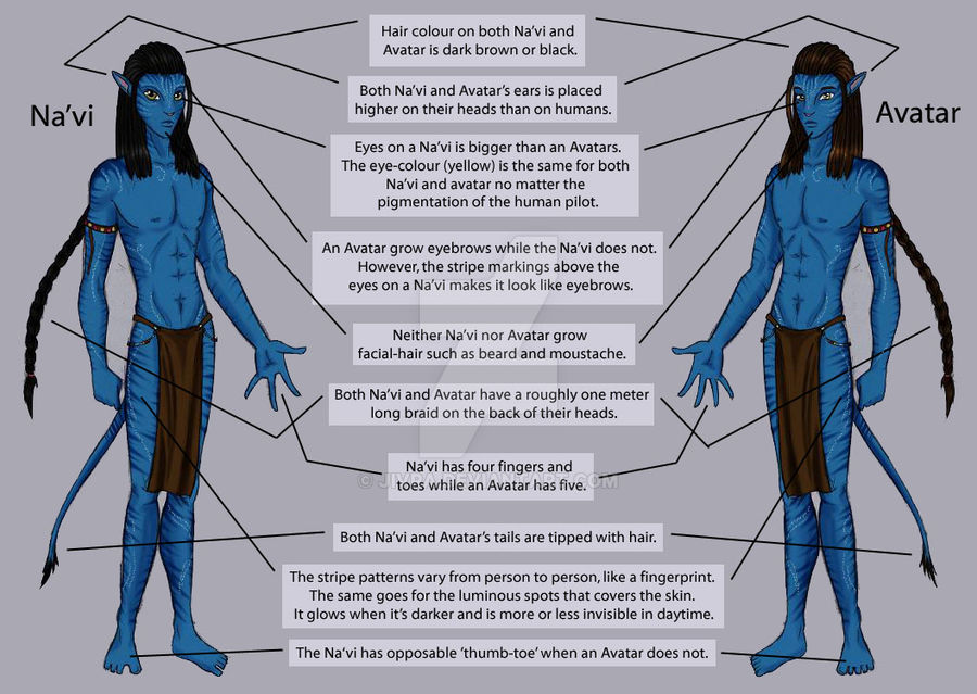 Na'vi Avatar Guide Basics by Jivra on DeviantArt