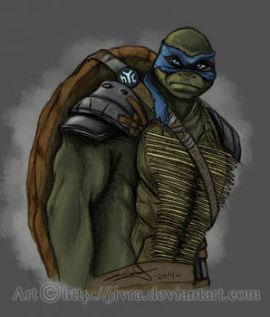 :::TMNT...Leonardo:::