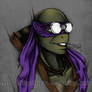 TmnT: Donatello Bust