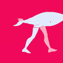 (gif) i made my whale walk like last summer???