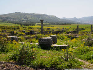 Volubilis