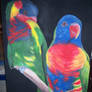 Lorikeets.