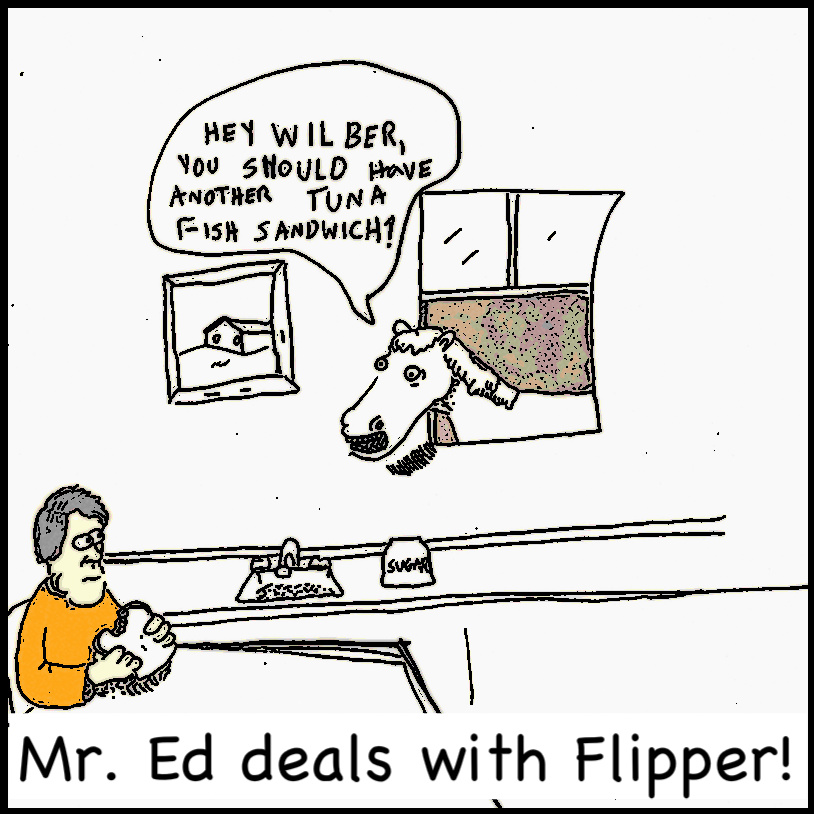 Mr. Ed