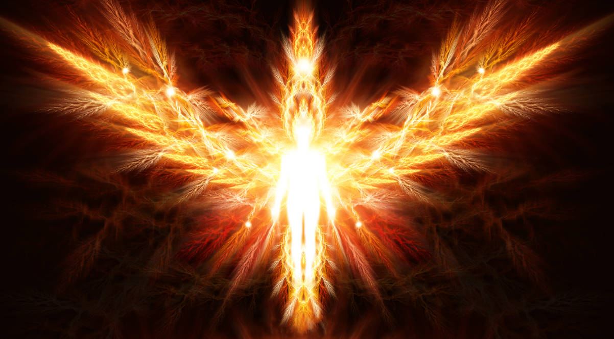 Огненный крест цветок. Огненные Крылья. Человек с огненными крыльями. Огненный.