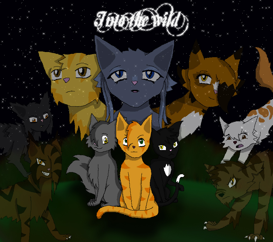 Warriors: Into the wild by Nightflowercat on DeviantArt