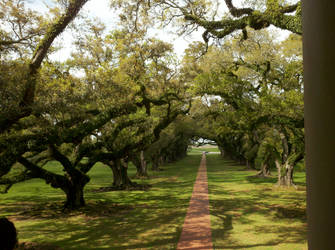 New Orleans plantation