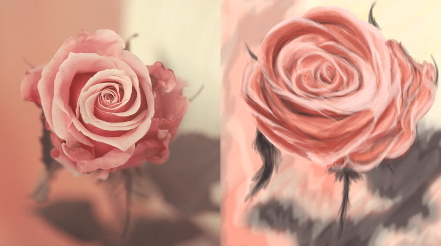 pinkrose speedpainting