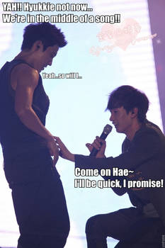 super junior macro33 - eunhae