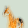 Fire horse II