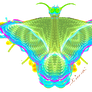 Fractal Butterfly animated II