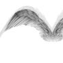 Angel Wings (FREE)