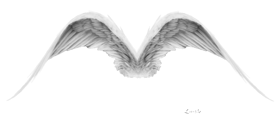 Angel Wings (FREE) by luisbc on DeviantArt