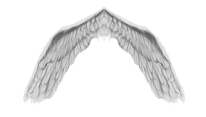 Wing Flapping Animation Flapping Angel Wings Gif
