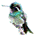 Hummingbird free avatar