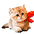 Little Cat free avatar