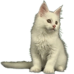 Gatito by Luis-Bello
