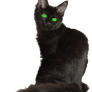 Green Eyes Full