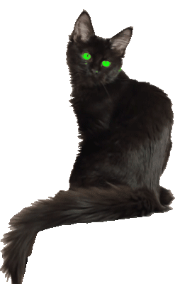 SouvisejÃcà obrázek