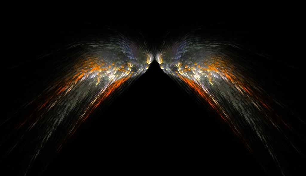 Wings Apophysis