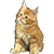 Meaw