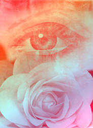 eye 'n' rose