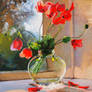 Poppies in a glass vase