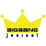 BigBag Journal logo