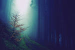 Welcome Welcome to the Woods of the Grimm by Leasline Welcome Welcome to the Woods of the Grimm by Leasline