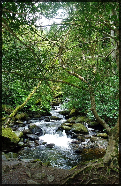 Ireland - III _Waterfall