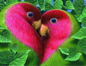 Boris Goldstein - Beautiful Birds Making Heart by Borisgoldstein