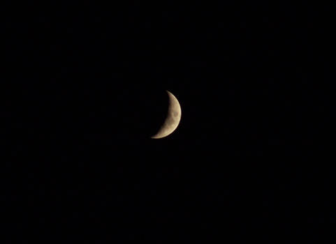 a sliver of waxing moon II