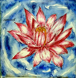 Lotus-watercolor