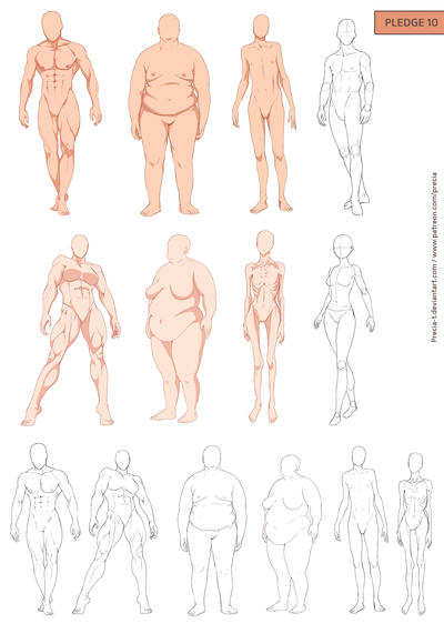 Full Body Designs Fullbody types by Precia-T on DeviantArt