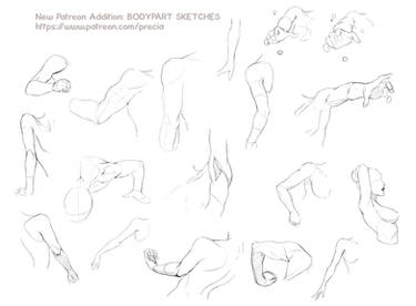 Bodyparts sketches - new patreon addition