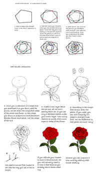 Rose tutorial