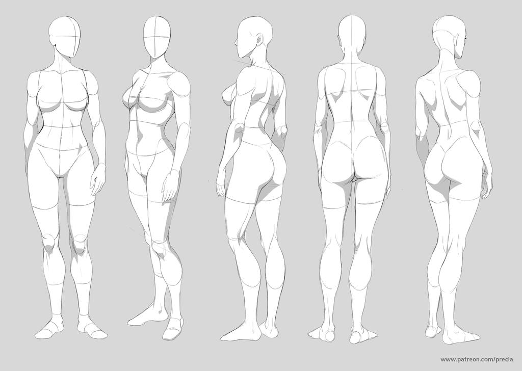 Basic anatomy - 60th pack